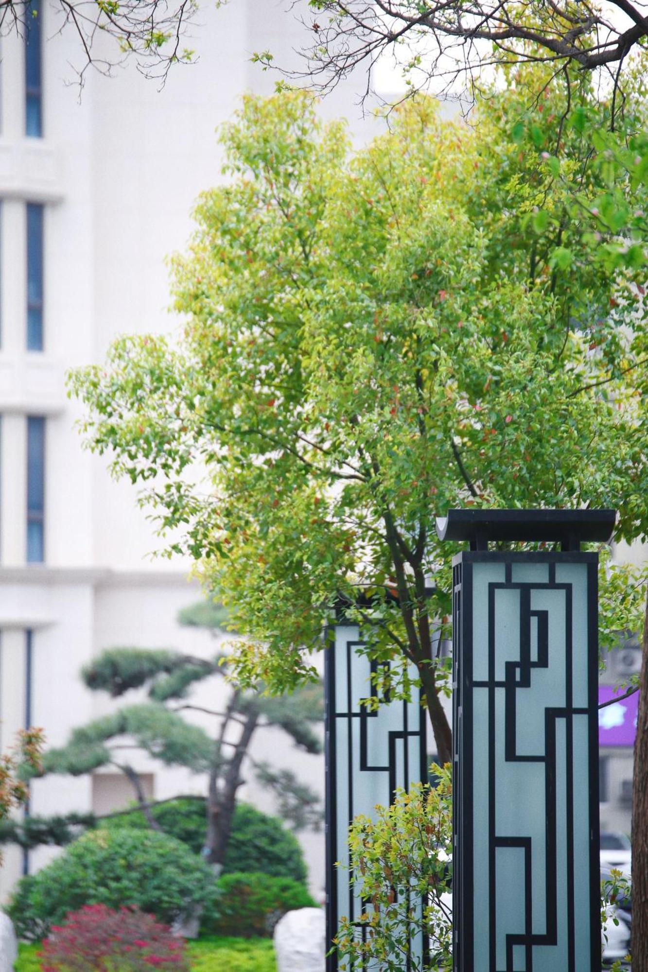 Holiday Inn Zhengzhou Zhongzhou By Ihg Exteriér fotografie